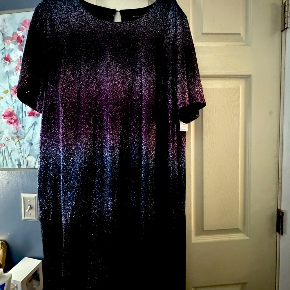 NWT Lane Bryant dress size 22/24